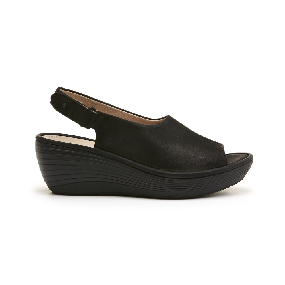 reedly shaina clarks